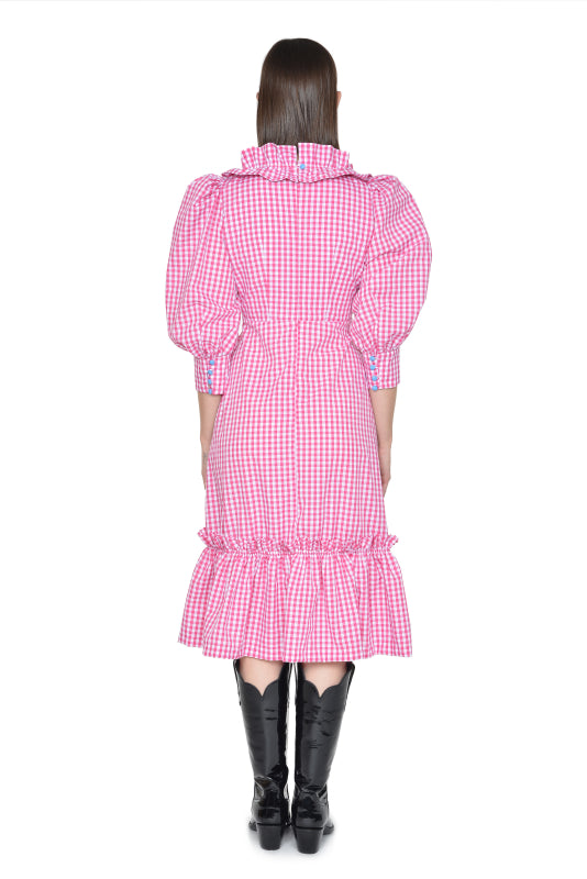 Isabelle Dress Raspberry Gingham